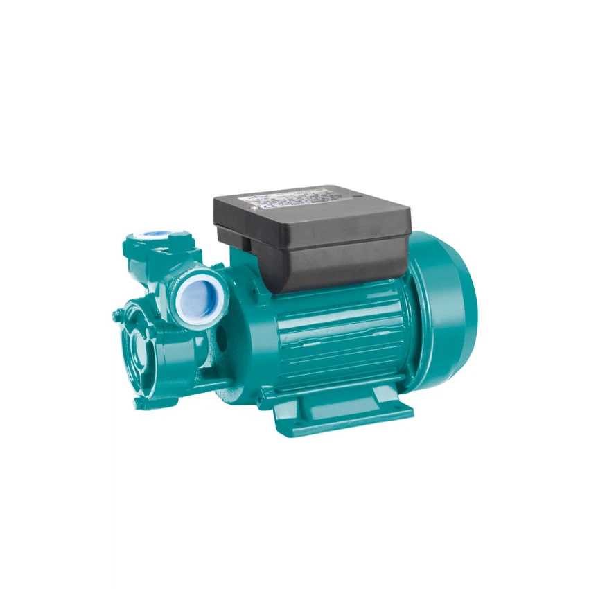 Peripheral Electric Pump